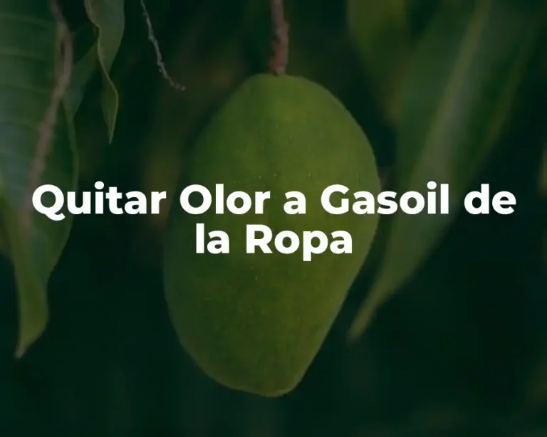 Quitar Olor a Gasoil de la Ropa
