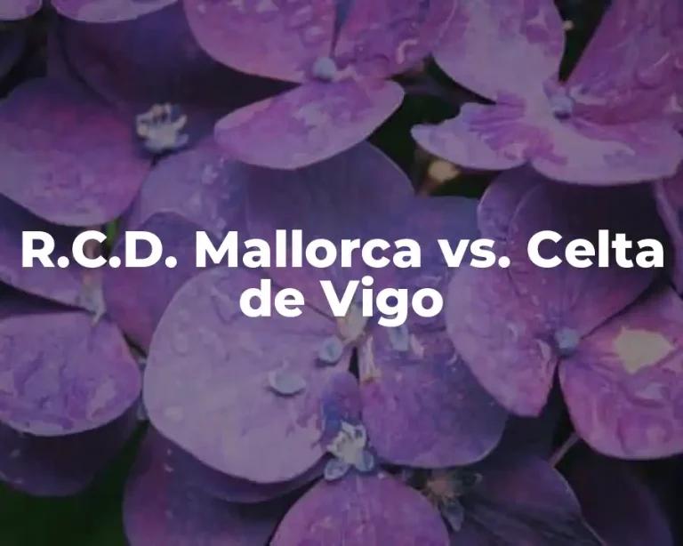 R.C.D. Mallorca vs. Celta de Vigo