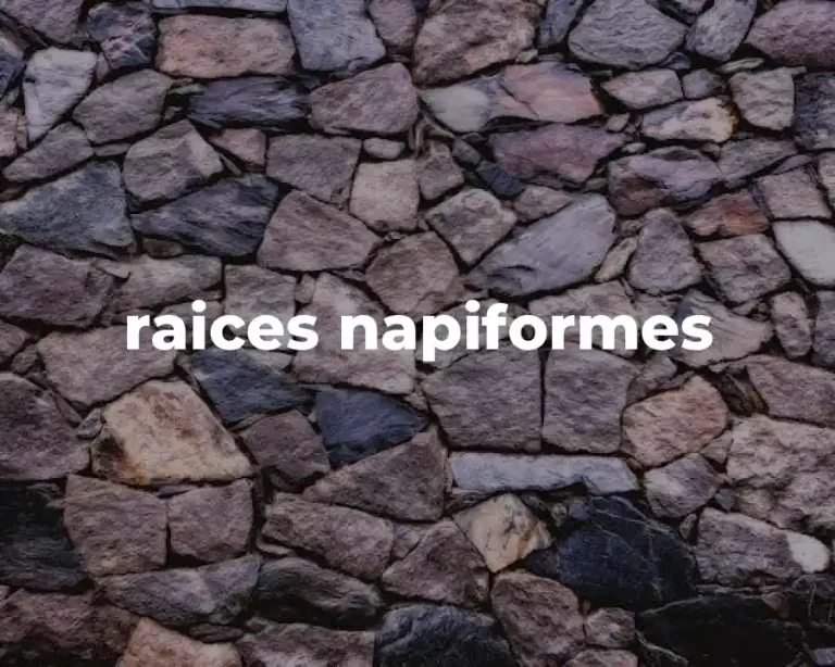 raices napiformes