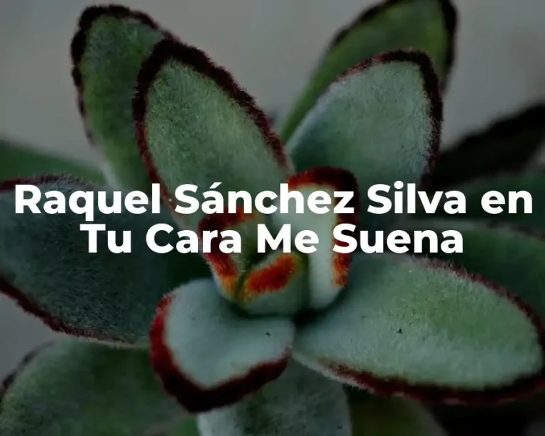 Raquel Sánchez Silva en Tu Cara Me Suena