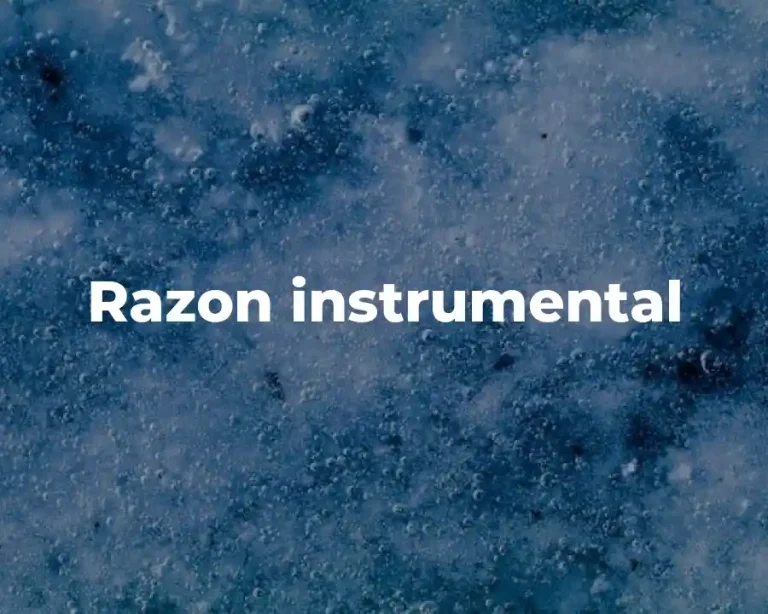 Razon instrumental
