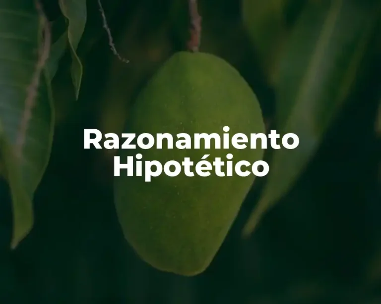 Razonamiento Hipotético