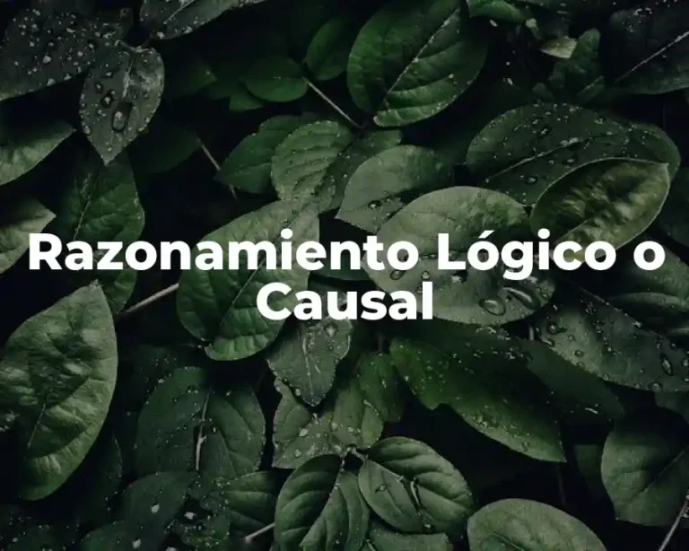 Razonamiento Lógico o Causal