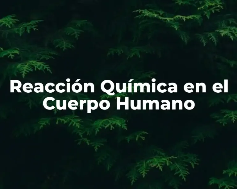Reacción Química en el Cuerpo Humano