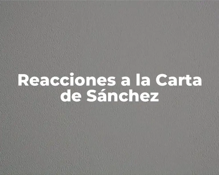 Reacciones a la Carta de Sánchez