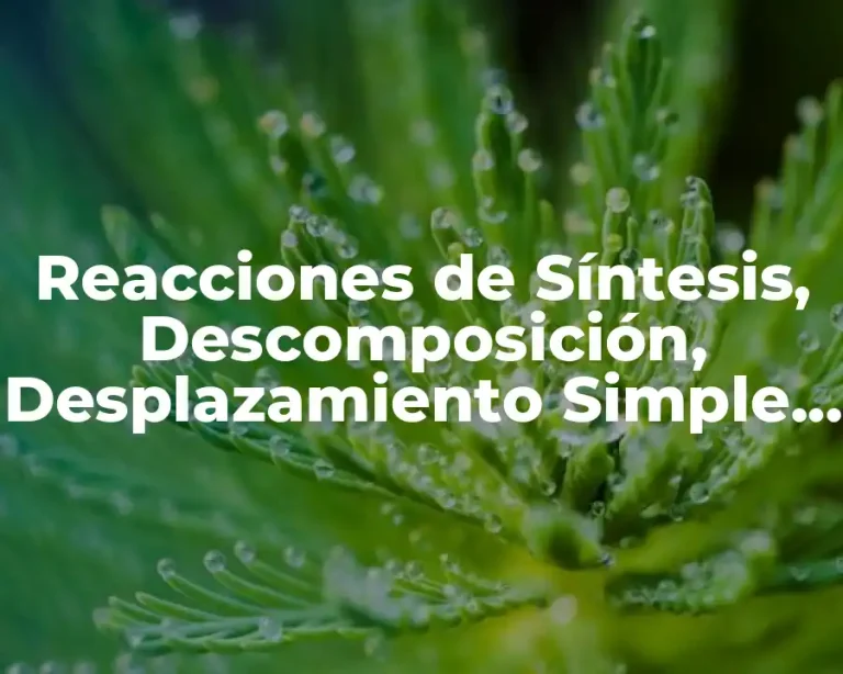 Reacciones de Síntesis, Descomposición, Desplazamiento Simple y Doble