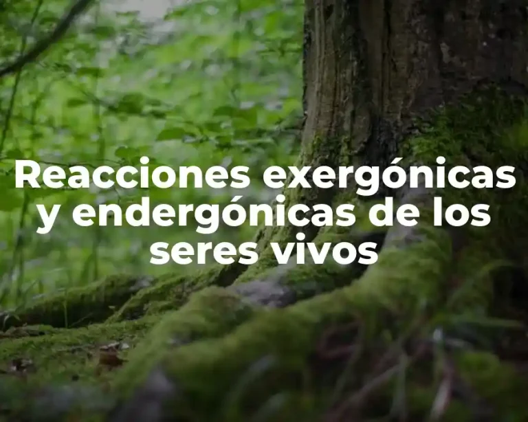 Reacciones exergónicas y endergónicas de los seres vivos