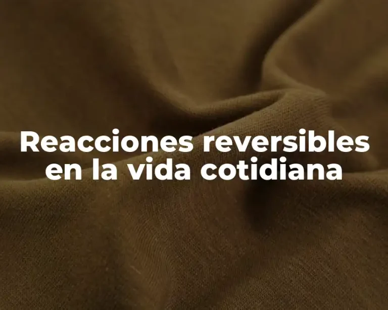 Reacciones reversibles en la vida cotidiana