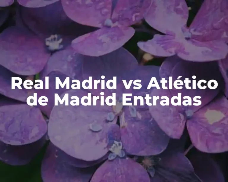 Real Madrid vs Atlético de Madrid Entradas
