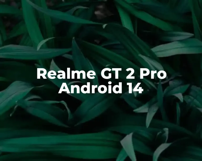 Realme GT 2 Pro Android 14