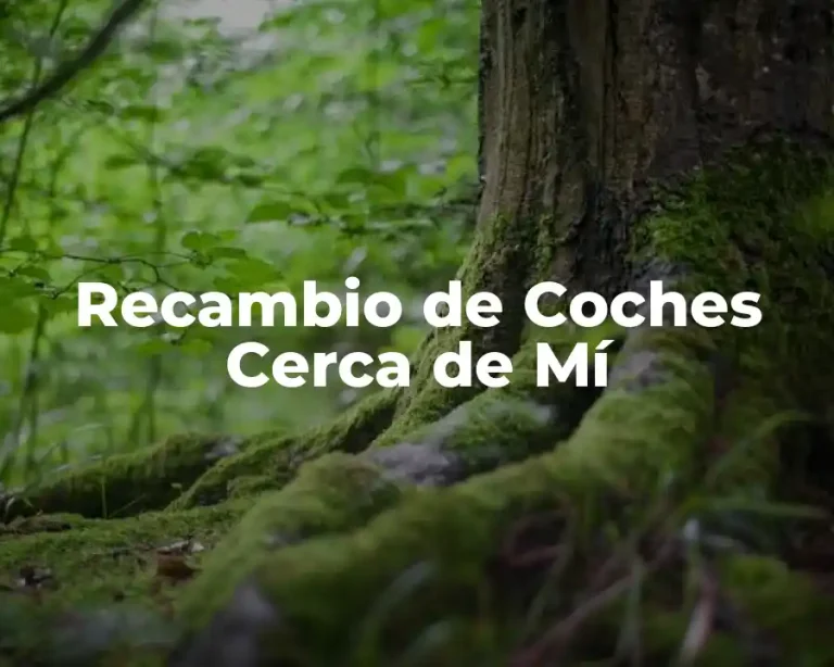 Recambio de Coches Cerca de Mí