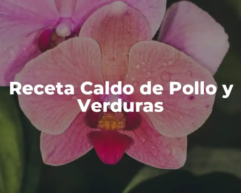 Receta Caldo de Pollo y Verduras