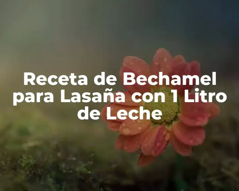 Receta de Bechamel para Lasaña con 1 Litro de Leche