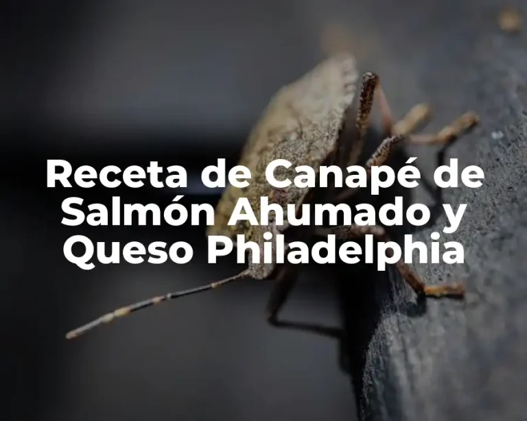 Receta de Canapé de Salmón Ahumado y Queso Philadelphia