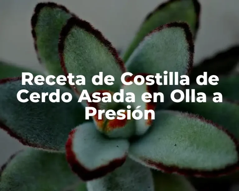 Receta de Costilla de Cerdo Asada en Olla a Presión
