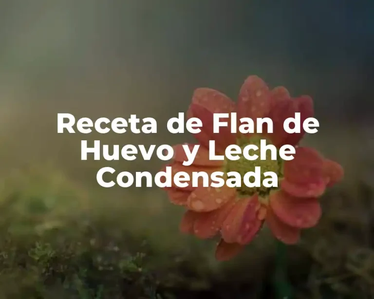 Receta de Flan de Huevo y Leche Condensada
