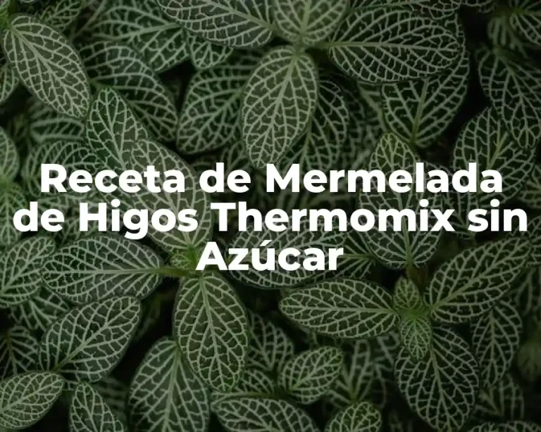 Receta de Mermelada de Higos Thermomix sin Azúcar