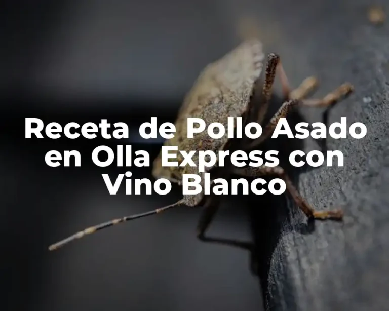 Receta de Pollo Asado en Olla Express con Vino Blanco