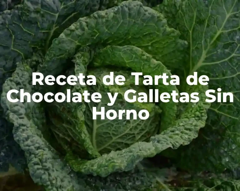Receta de Tarta de Chocolate y Galletas Sin Horno