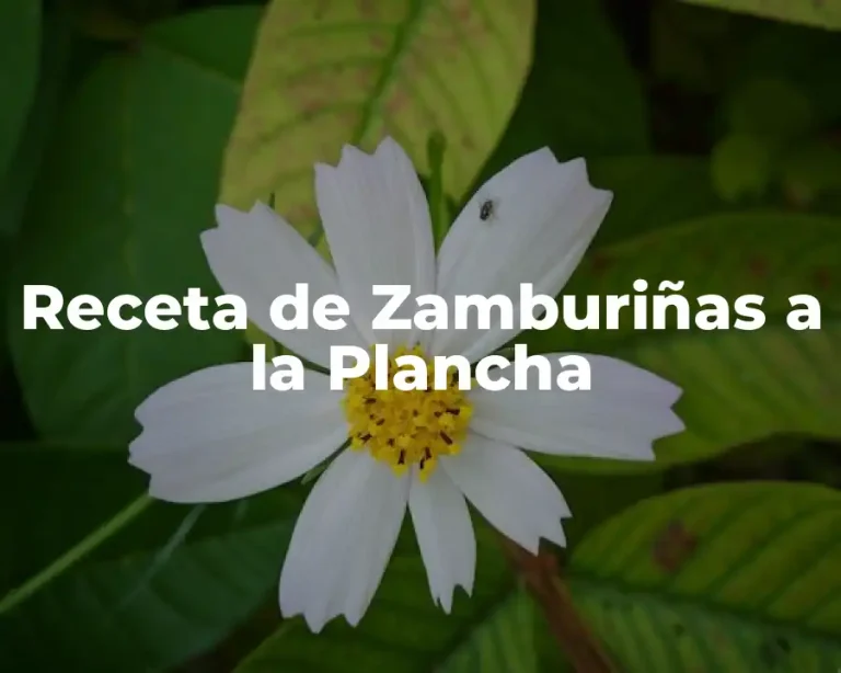 Receta de Zamburiñas a la Plancha