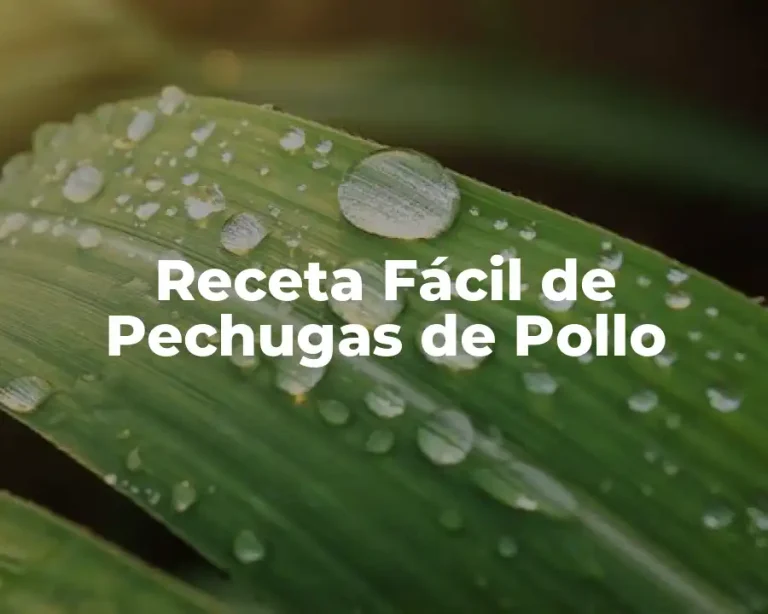 Receta Fácil de Pechugas de Pollo