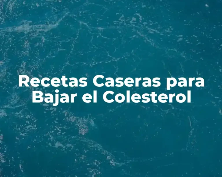 Recetas Caseras para Bajar el Colesterol