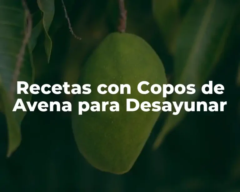 Recetas con Copos de Avena para Desayunar