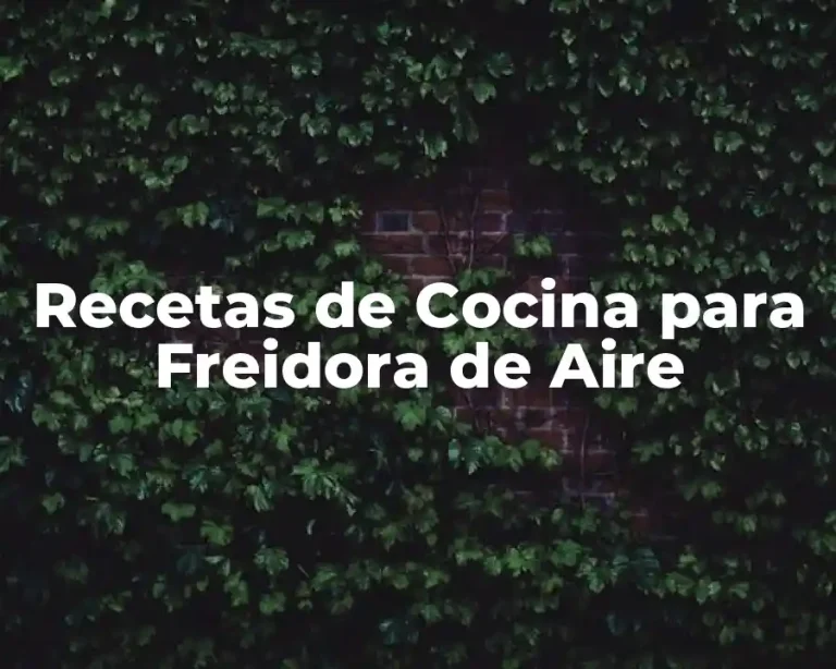 Recetas de Cocina para Freidora de Aire