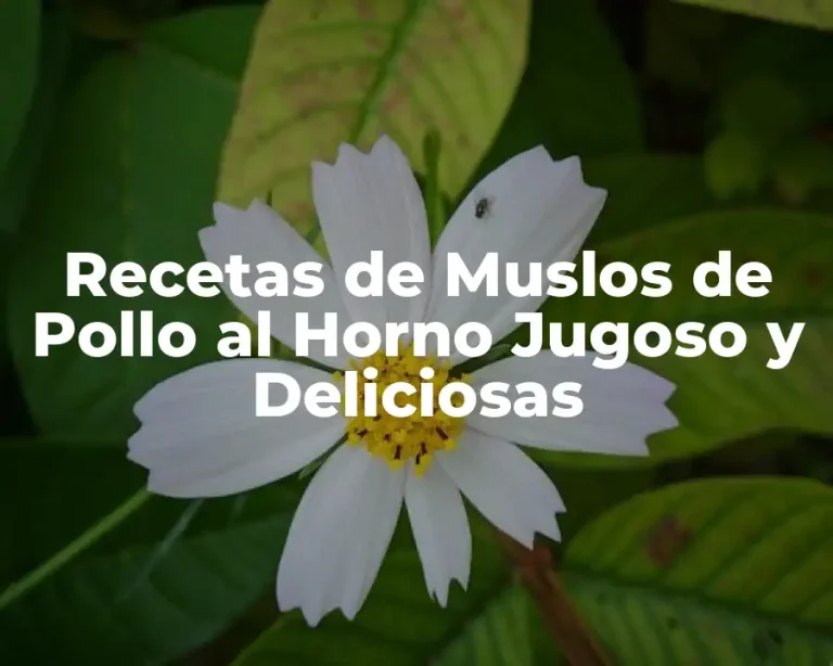 Recetas de Muslos de Pollo al Horno Jugoso y Deliciosas