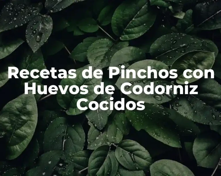 Recetas de Pinchos con Huevos de Codorniz Cocidos