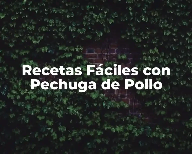 Recetas Fáciles con Pechuga de Pollo