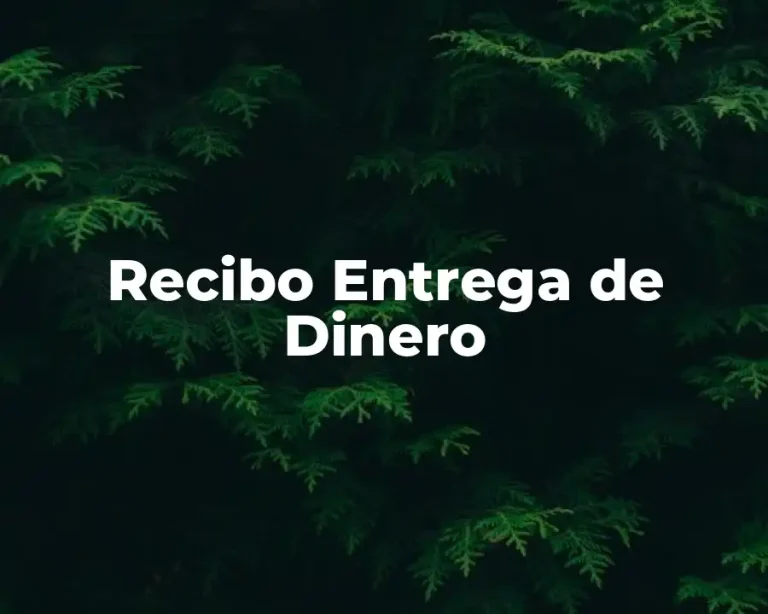 Recibo Entrega de Dinero