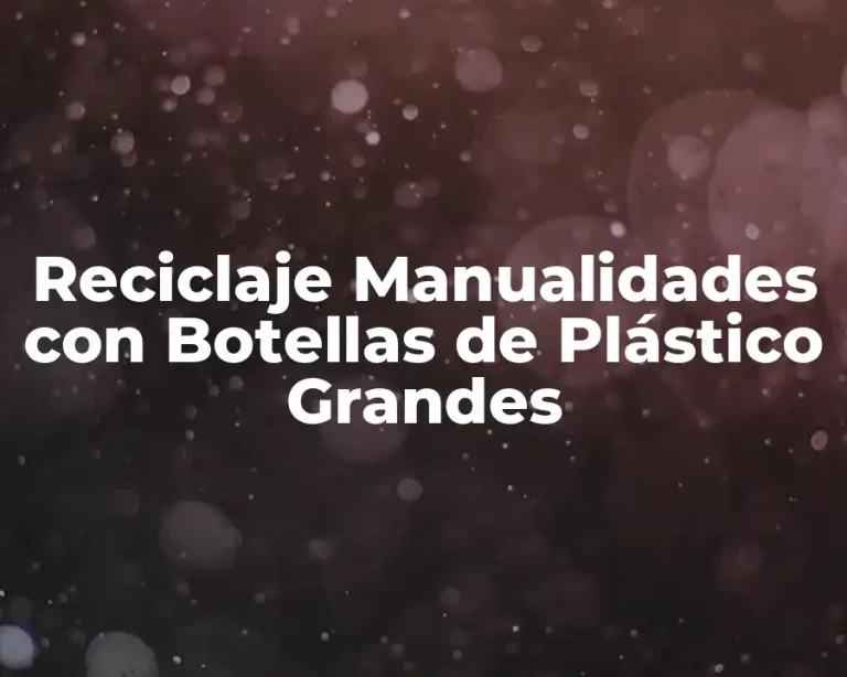 Reciclaje Manualidades con Botellas de Plástico Grandes