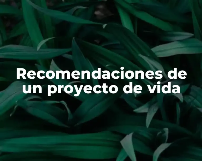 Recomendaciones de un proyecto de vida