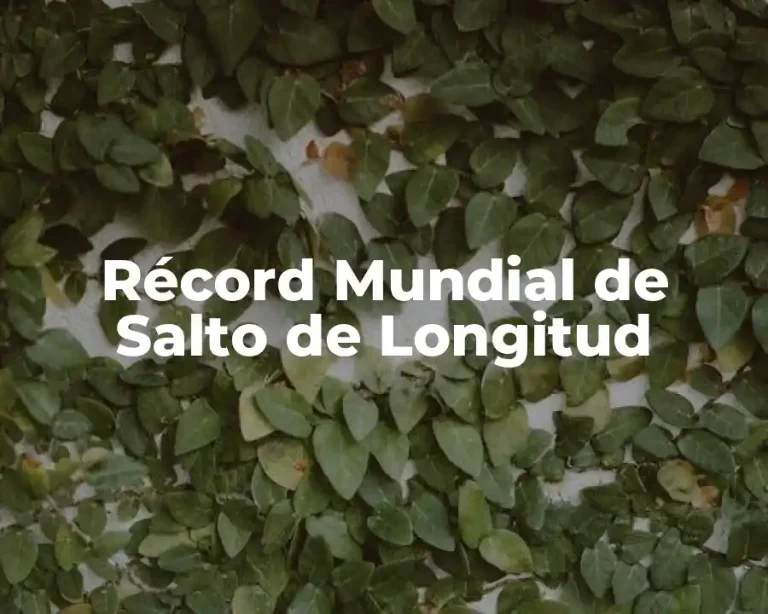 Récord Mundial de Salto de Longitud