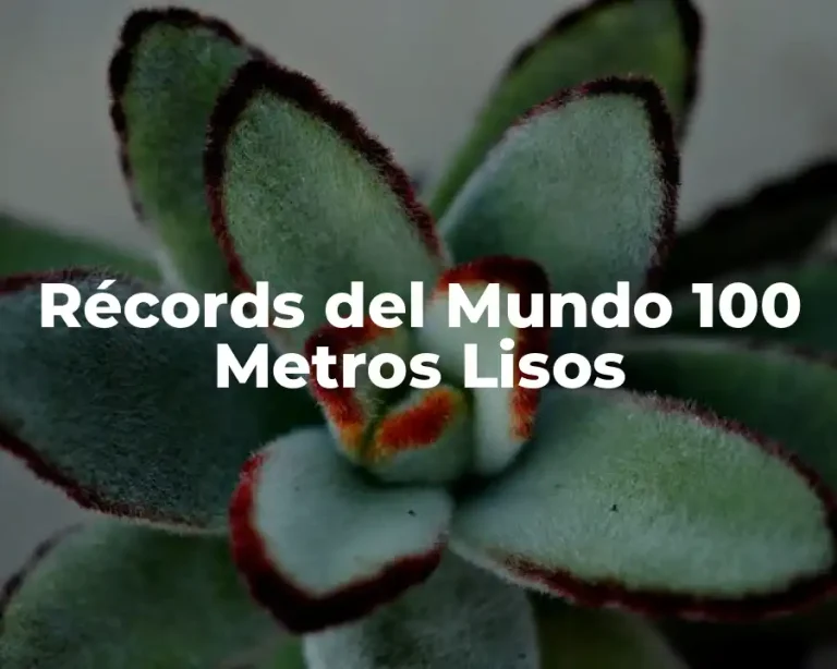 Récords del Mundo 100 Metros Lisos