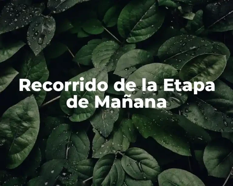 Recorrido de la Etapa de Mañana