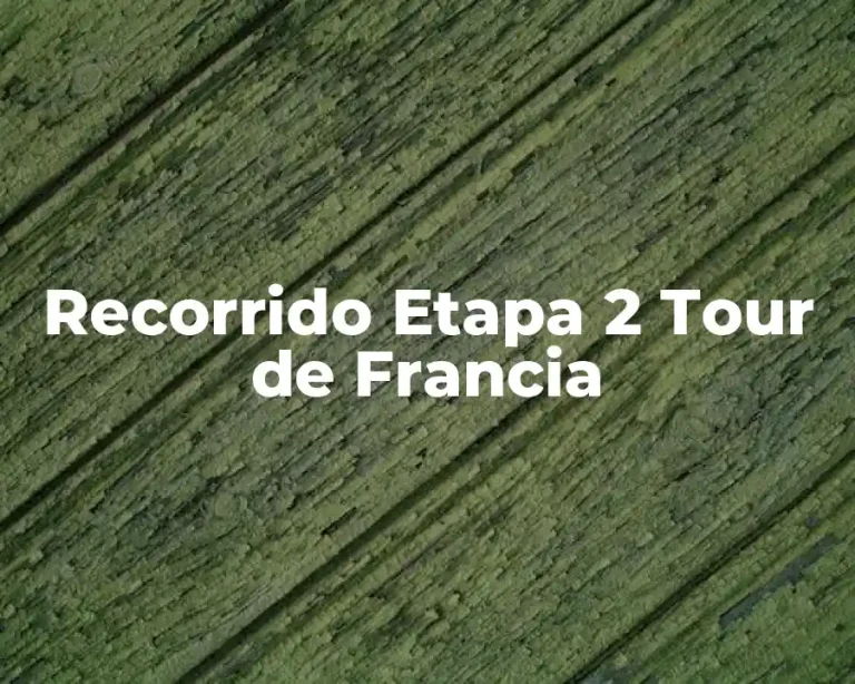 Recorrido Etapa 2 Tour de Francia