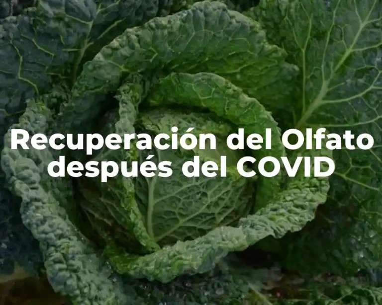 Recuperación del Olfato después del COVID