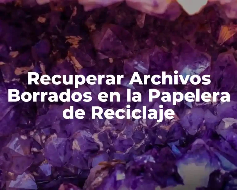 Recuperar Archivos Borrados en la Papelera de Reciclaje