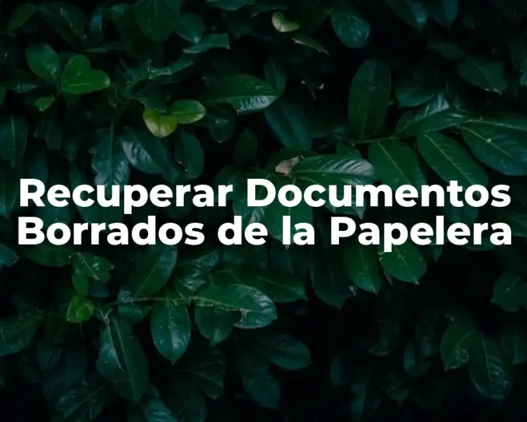 Recuperar Documentos Borrados de la Papelera