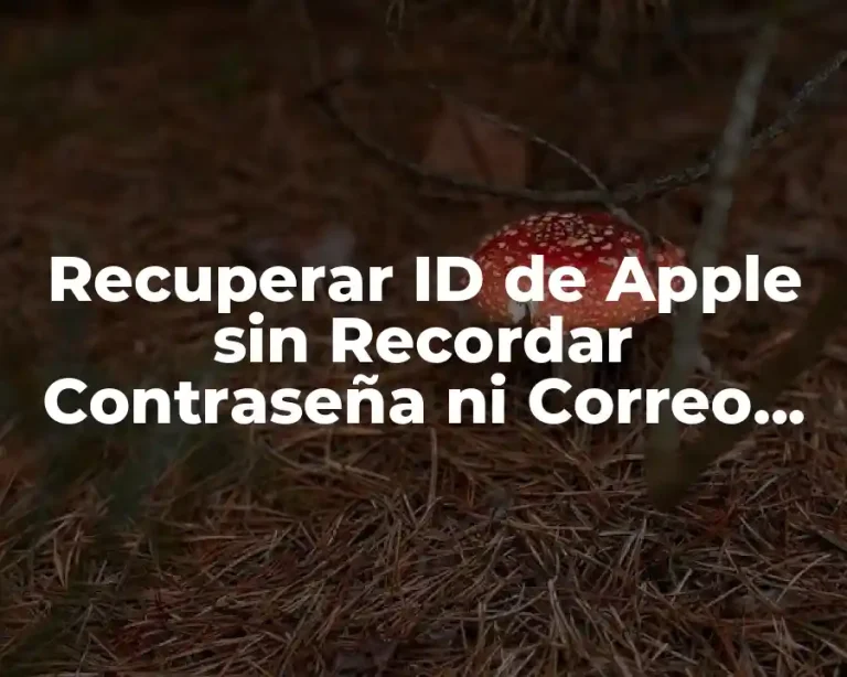 Recuperar ID de Apple sin Recordar Contraseña ni Correo Electrónico