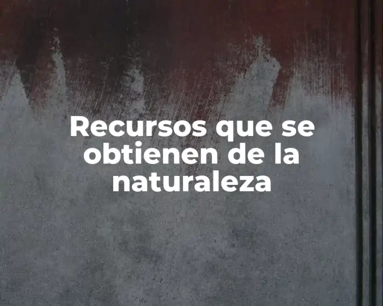 Recursos que se obtienen de la naturaleza