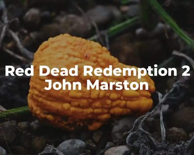 Red Dead Redemption 2 John Marston