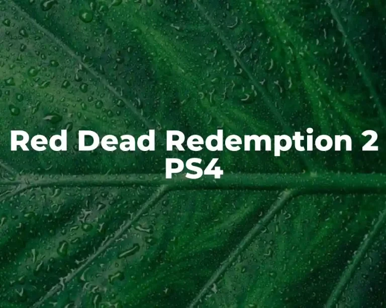 Red Dead Redemption 2 PS4