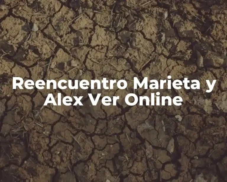 Reencuentro Marieta y Alex Ver Online