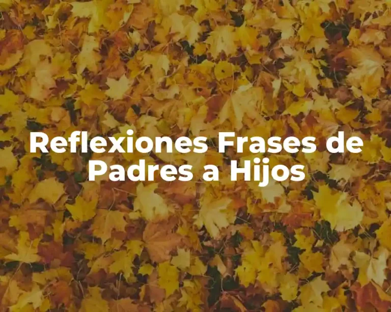 Reflexiones Frases de Padres a Hijos