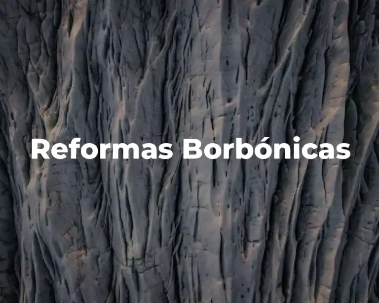 Reformas Borbónicas