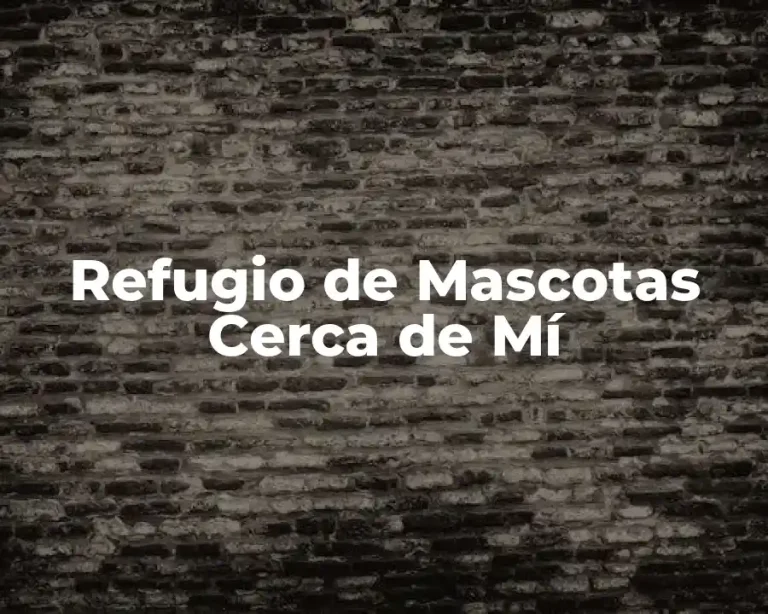 Refugio de Mascotas Cerca de Mí