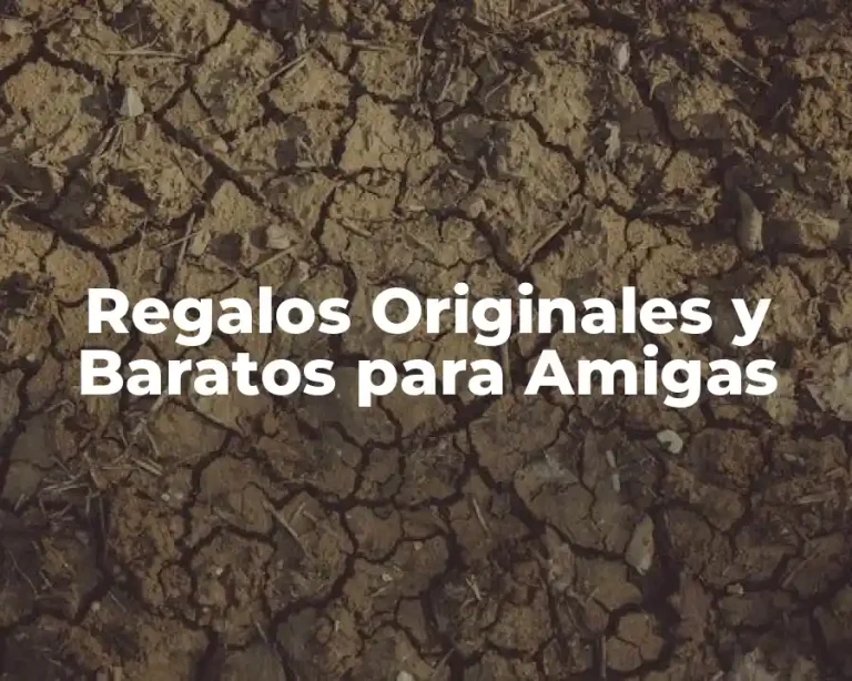 Regalos Originales y Baratos para Amigas